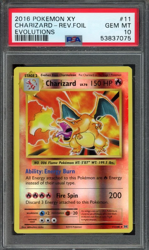 cardshq203325