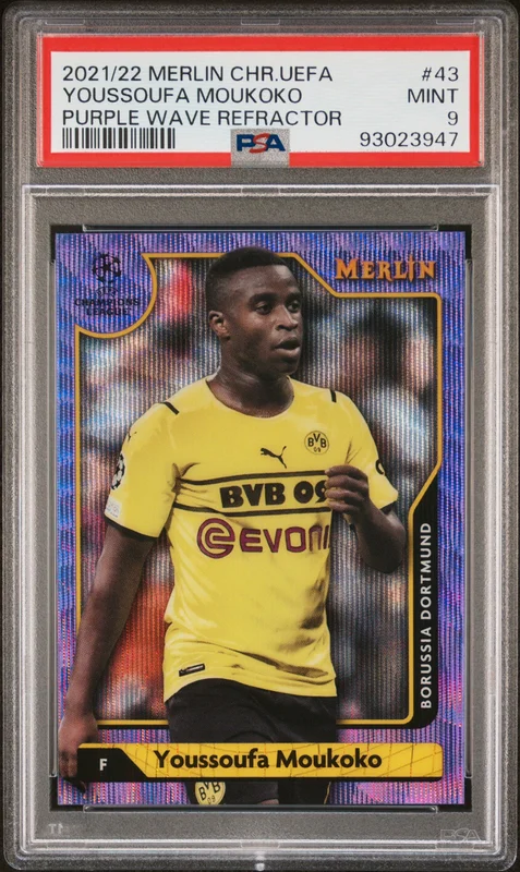 cardshq227024