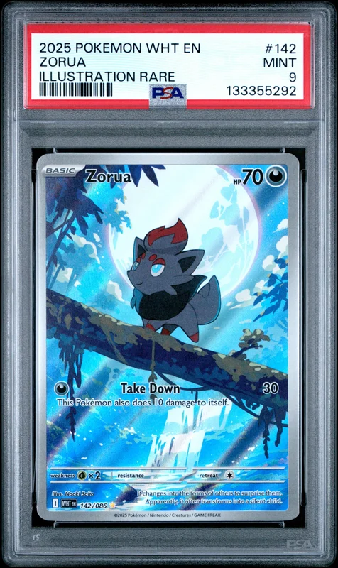 cardshq242358