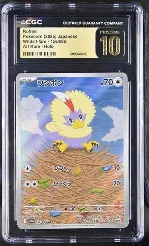 cardshq334151