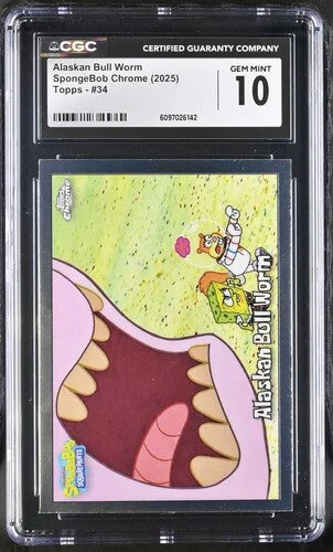 cardshq415637