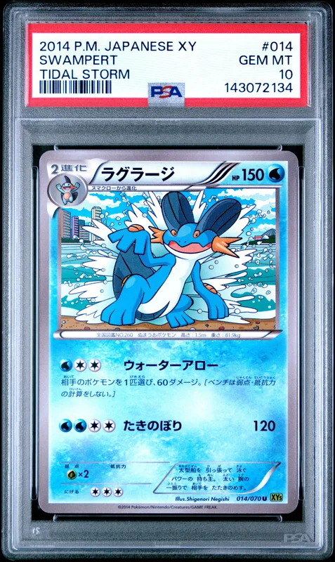 cardshq527001
