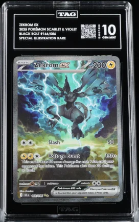 cardshq538446