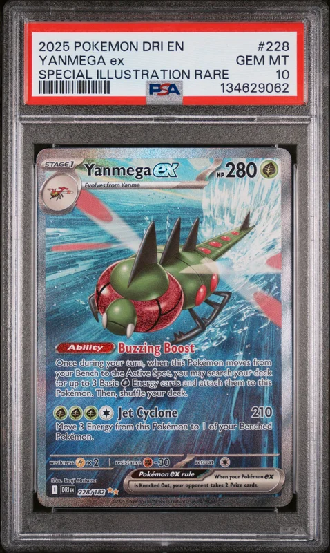 cardshq565181