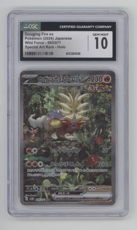 collectorstore206437