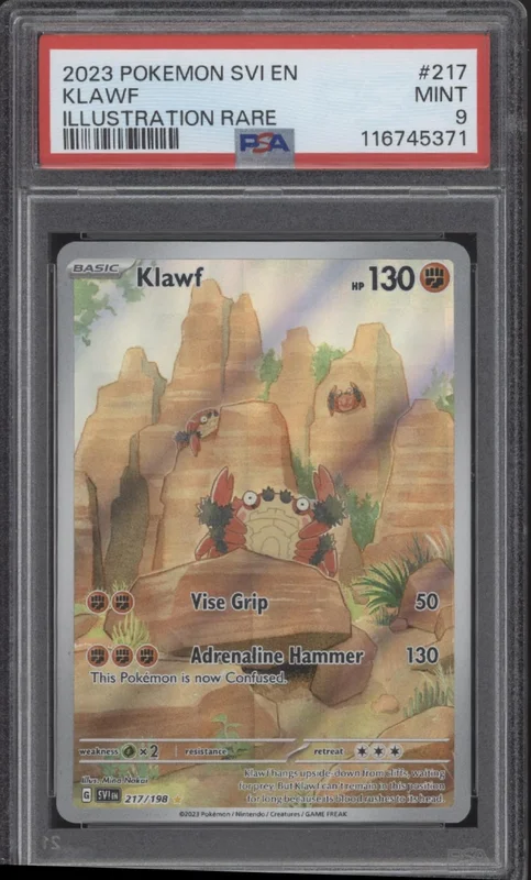 collectorstore215993