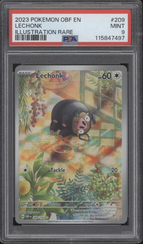 collectorstore216004
