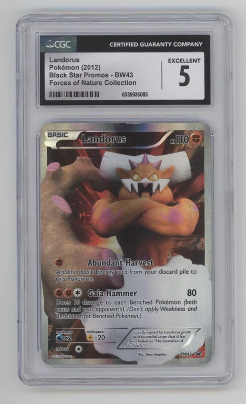 collectorstore236631