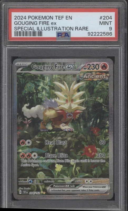 collectorstore270861
