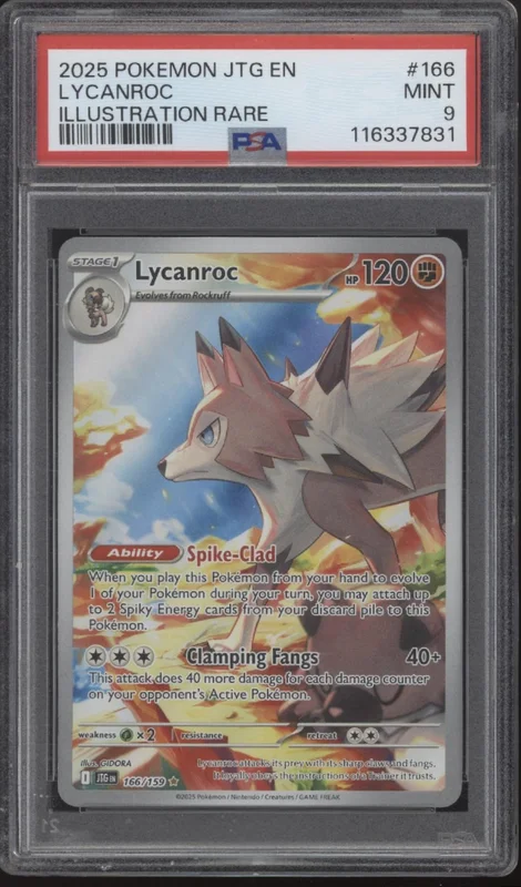 collectorstore273130