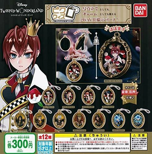 japan-figure130407
