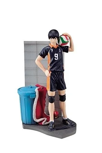 japan-figure152505