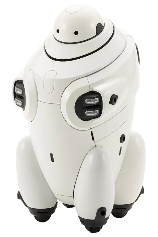 japan-figure159989