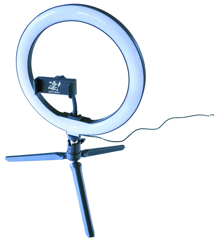 japan-figure286612